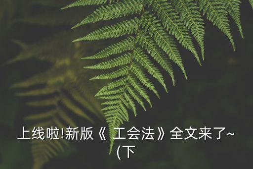 工會法