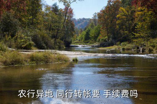 同行轉(zhuǎn)賬要手續(xù)費嗎,農(nóng)業(yè)銀行跨省同行轉(zhuǎn)賬要手續(xù)費嗎