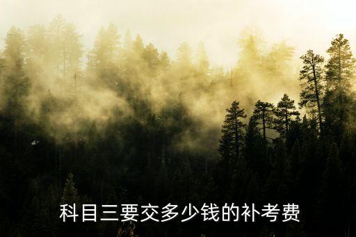 科目三考試費(fèi)用,九江科目三考試費(fèi)用