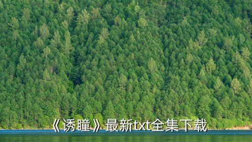 《誘瞳》最新txt全集下載