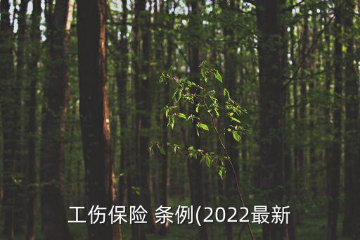 工傷保險(xiǎn) 條例(2022最新