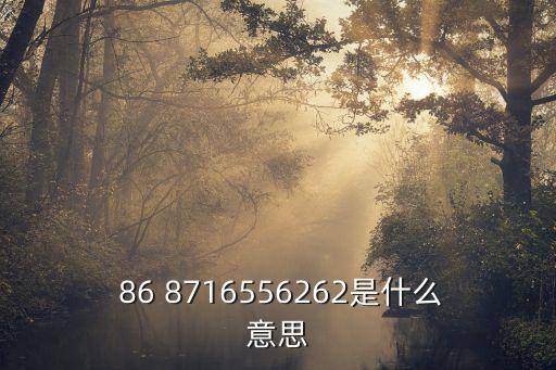  86 8716556262是什么意思