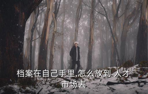  檔案在自己手里,怎么放到 人才 市場去