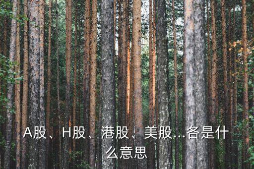 A股、H股、港股、美股...各是什么意思