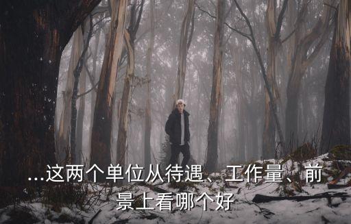 ...這兩個(gè)單位從待遇、工作量、前景上看哪個(gè)好