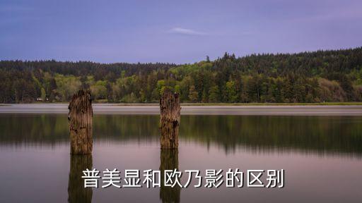 普美顯核磁共振,上腹部普美顯核磁共振