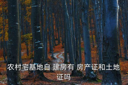 農(nóng)村宅基地自 建房有 房產(chǎn)證和土地證嗎