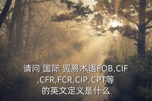 請問 國際 貿(mào)易術(shù)語FOB,CIF,CFR,FCR,CIP,CPT等的英文定義是什么