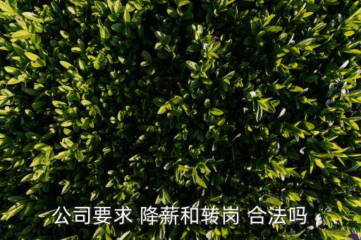 調(diào)崗降薪合法嗎,員工調(diào)崗降薪法律規(guī)定有哪些