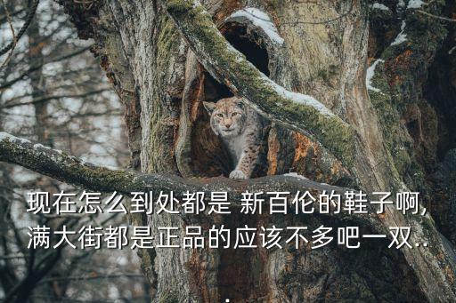 新百倫為什么才一百多,拼多多新百倫為什么才一百多