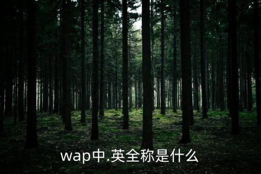 wap中.英全稱是什么