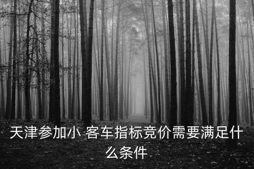 天津參加小 客車指標(biāo)競價需要滿足什么條件