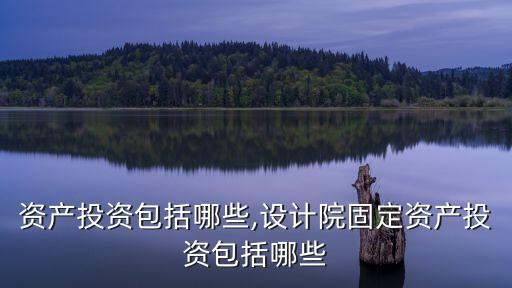 固定資產(chǎn)投資包括哪些,設(shè)計院固定資產(chǎn)投資包括哪些