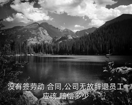 沒(méi)簽合同被開(kāi)除了怎么賠償,沒(méi)簽勞動(dòng)合同誰(shuí)吃虧