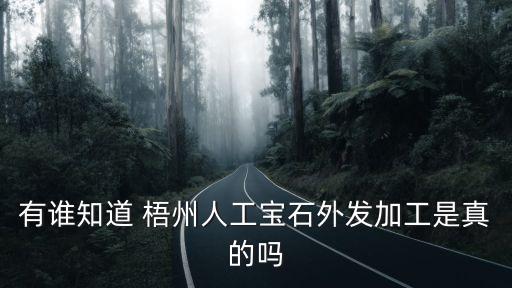 有誰知道 梧州人工寶石外發(fā)加工是真的嗎
