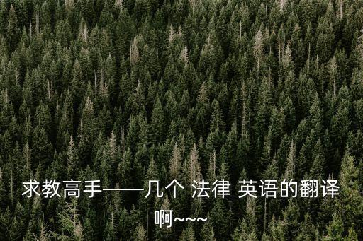 求教高手——幾個(gè) 法律 英語的翻譯啊~~~