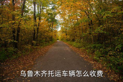 烏魯木齊托運(yùn)車輛怎么收費(fèi)