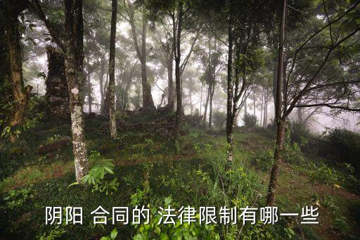 法律如何規(guī)定陰陽合同關系,陰陽合同的法律規(guī)定