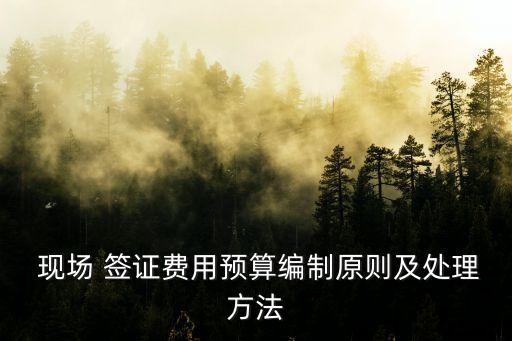  現(xiàn)場 簽證費用預算編制原則及處理方法
