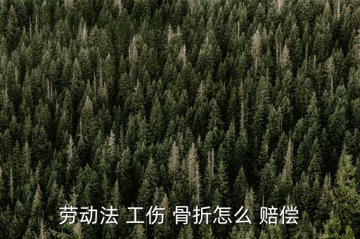 勞動(dòng)法 工傷 骨折怎么 賠償