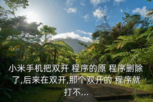 小米手機把雙開 程序的原 程序刪除了,后來在雙開,那個雙開的 程序就打不...