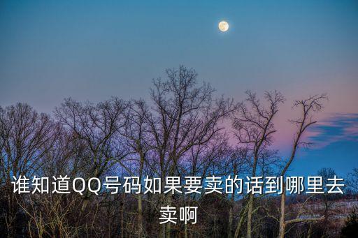 誰知道QQ號碼如果要賣的話到哪里去賣啊