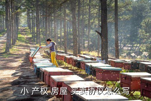 小產(chǎn)權(quán)買賣房屋正規(guī)合同,買村里小產(chǎn)權(quán)房屋合同應(yīng)該怎么簽