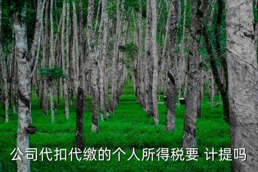 個稅需要計提嗎,怎么申報個稅最劃算