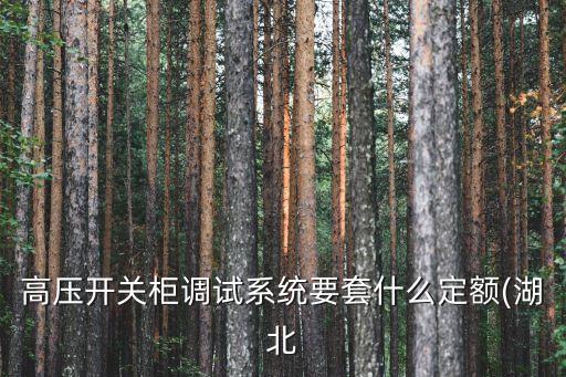 套母