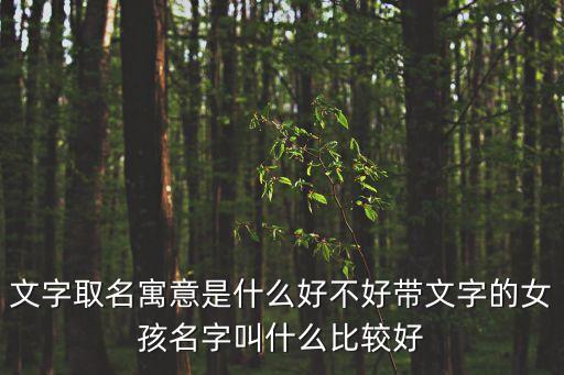文字取名寓意是什么好不好帶文字的女孩名字叫什么比較好
