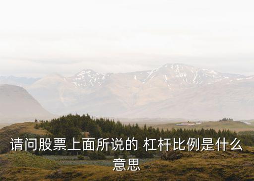 杠桿比率,財務(wù)杠桿比率