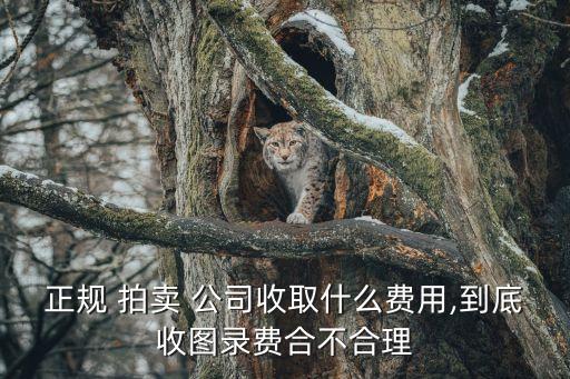 正規(guī) 拍賣 公司收取什么費(fèi)用,到底收?qǐng)D錄費(fèi)合不合理