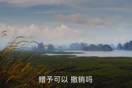 贈予可以 撤銷嗎