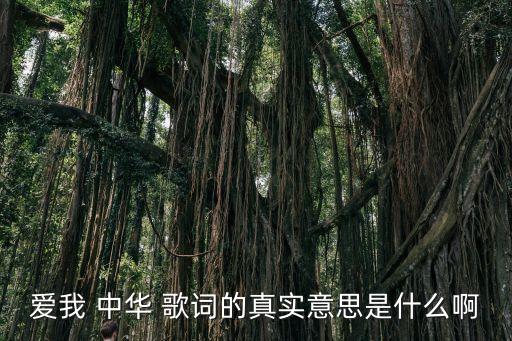 愛我 中華 歌詞的真實(shí)意思是什么啊