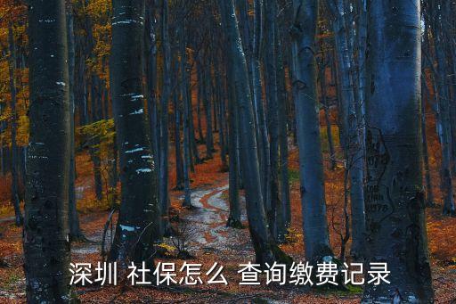 深圳個(gè)人社保明細(xì)查詢,深圳社保支出明細(xì)查詢