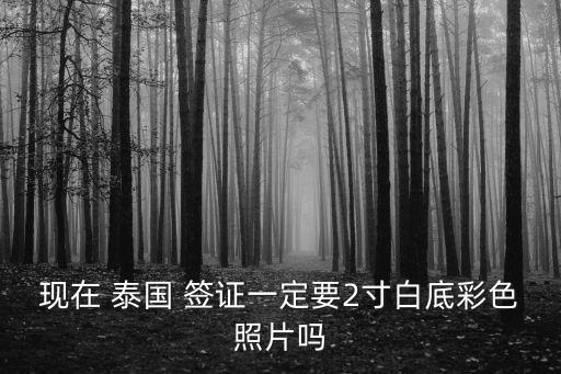 現(xiàn)在 泰國(guó) 簽證一定要2寸白底彩色照片嗎