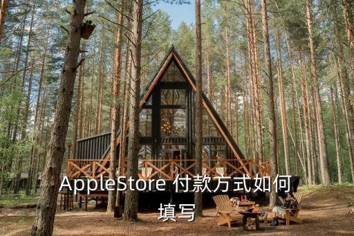 AppleStore 付款方式如何填寫