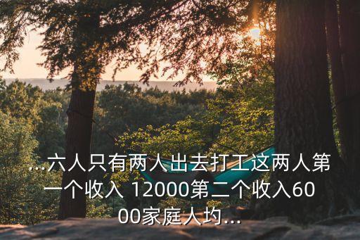 ...六人只有兩人出去打工這兩人第一個收入 12000第二個收入6000家庭人圴...