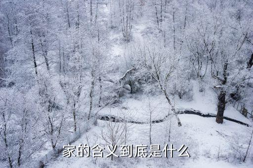 家的含義到底是什么