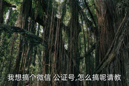 公證號(hào)