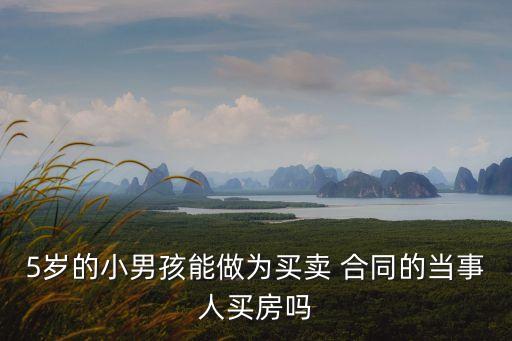 5歲的小男孩能做為買賣 合同的當(dāng)事人買房嗎