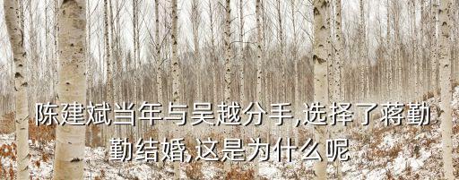  陳建斌當(dāng)年與吳越分手,選擇了蔣勤勤結(jié)婚,這是為什么呢