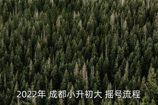 成都搖號(hào)