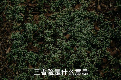 三者保險(xiǎn)