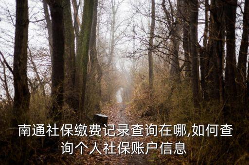  南通社保繳費(fèi)記錄查詢?cè)谀?如何查詢個(gè)人社保賬戶信息