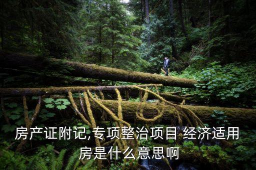 經(jīng)濟適用房是什么意思,有限產(chǎn)權(quán)經(jīng)濟適用房是什么意思