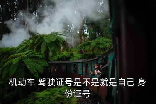 駕駛證號是不是身份證號,查我的駕駛證怎么查
