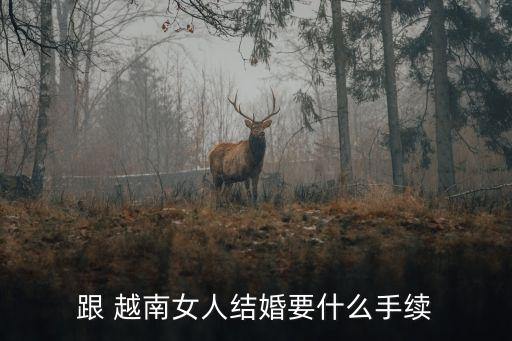 跟 越南女人結(jié)婚要什么手續(xù)