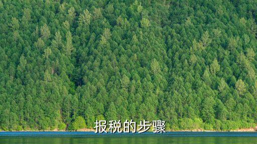 報稅怎么報,公司每個月報稅怎么報