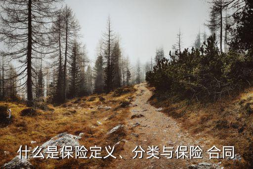 什么是保險定義、分類與保險 合同